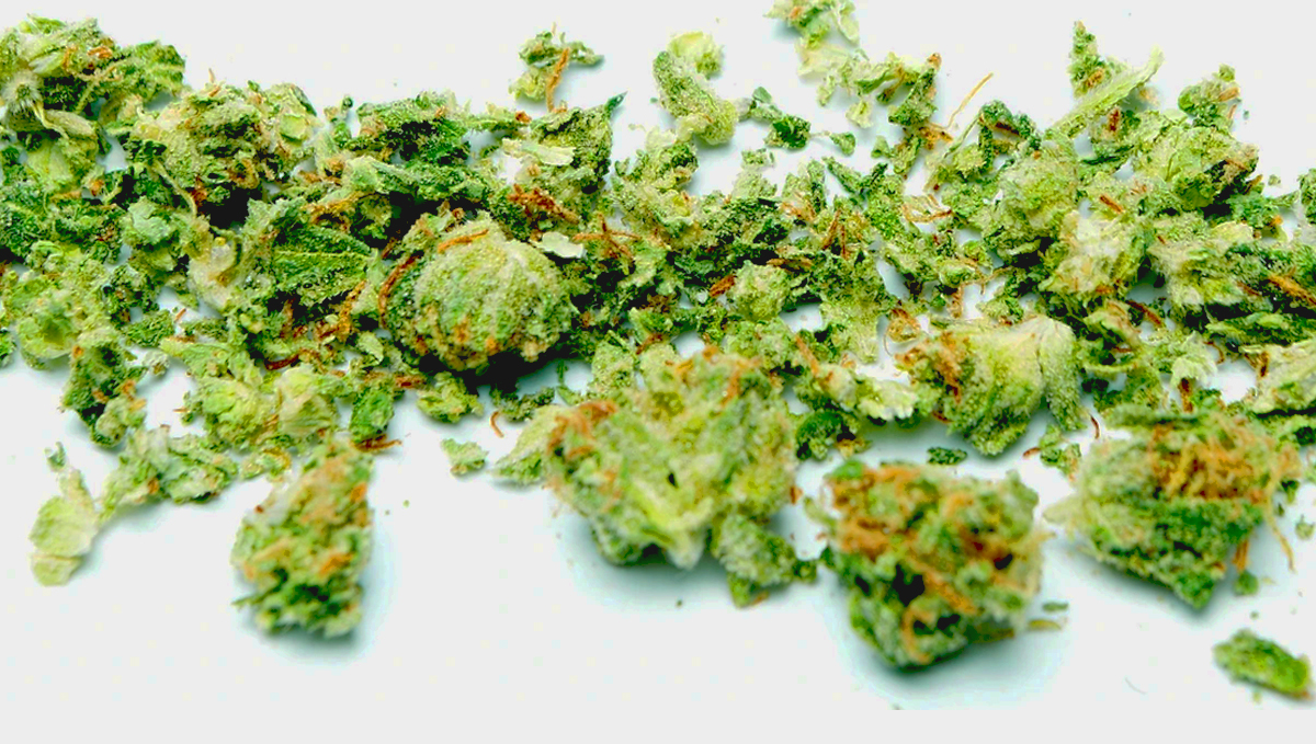 Grinded cannabis buds