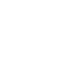 A timeline describing the history of autoflowering cannabis