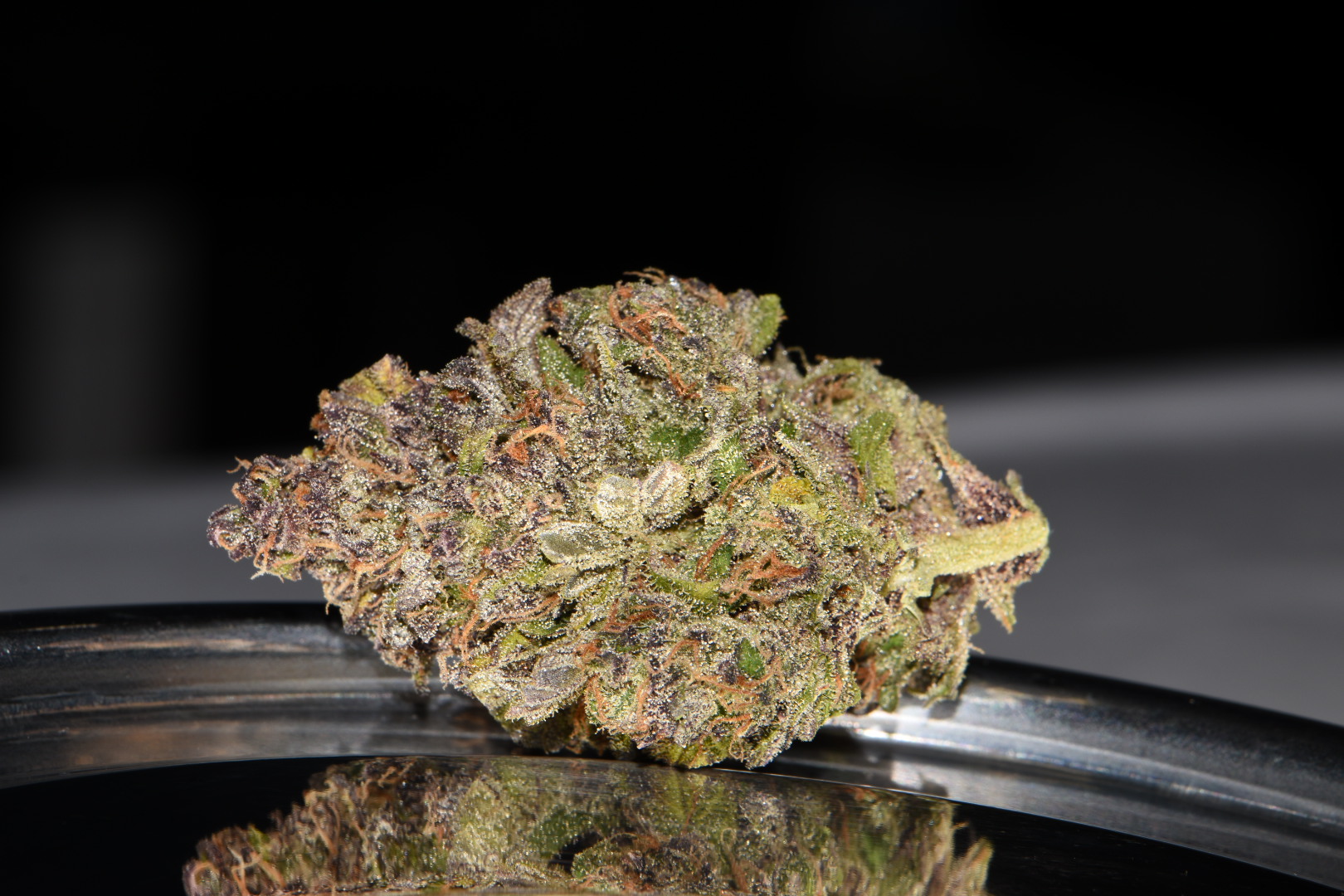 Smoothie Auto